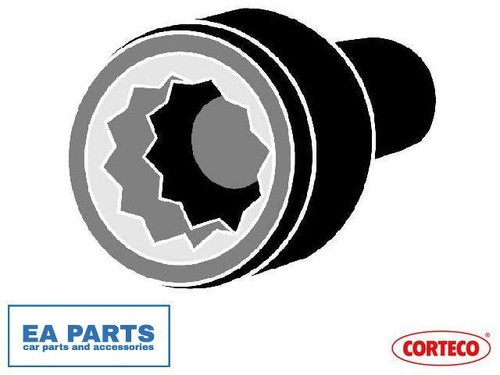 Bolt kit cylinder head for - bolt,