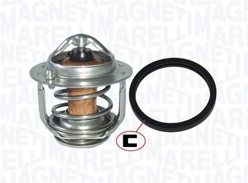 Fits magneti marelli - fits,